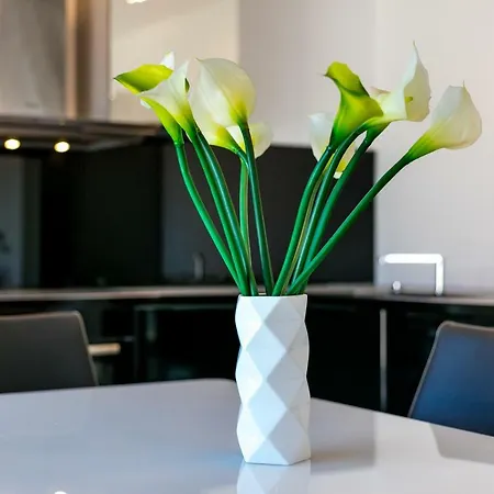 Luxury Litric Apartment